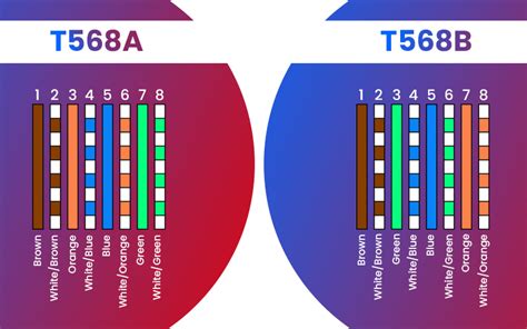 t568a and t568b wiring standard basis and pinout|T568A vs T568B: Choosing the Right Ethernet Cable .